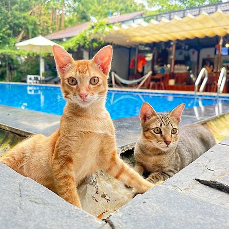 Have Fun Phu Quoc Villa Exterior photo