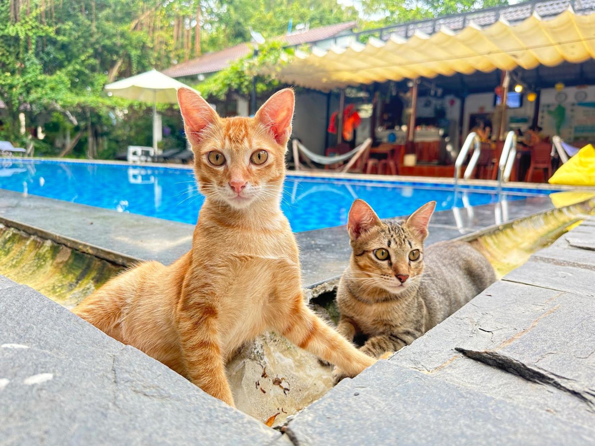 Have Fun Phu Quoc Villa Exterior photo